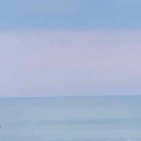 Ostsee - Nr 91 Panta Rhei Im Apartment Heiligenhafen